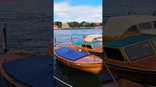 norway fredrikstad gamlebyen glomma river summer nature vacation foryou follow [upl. by Arua]