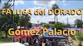 FAYUCA DEL DORADO EN GOMEZ PALACIO DURANGO [upl. by Trebleht]