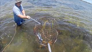 Mandurah Crab Catch and Cook  How To Catch Crabs  Blue Swimmer Crabs [upl. by Dyke]