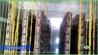 Mushroom Farm HumidificationMistcooling System India [upl. by Parrisch]