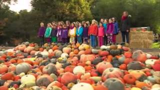 Sternschnuppen  Der Kinder Chor  Kürbislied [upl. by Hare]