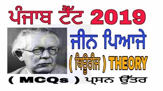 Pstet Study Jean Piaget Theory  Importent Mcq  ਜੀਨ ਪਿਆਜੇ ਥਿਊਰੀਜ [upl. by Yrailih]