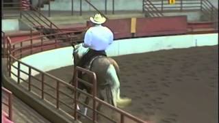 NU CHEX TO TRASH AND BILL HORN AT THE 2009 DRHA BH DERBY DORMINY FUTURITY [upl. by Orgell]