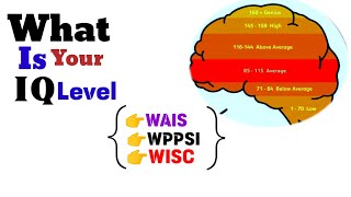 Wechsler Adult Intelligence Tests  WAIS  WPPSI  WISC [upl. by Enelyar]