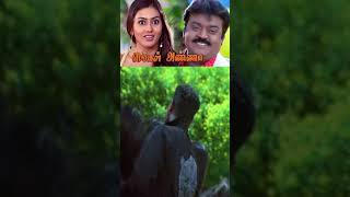 Kaal Kilo Song From Engal Annan Movie prabhudeva namitha lovesong tamilshorts [upl. by Bowen]