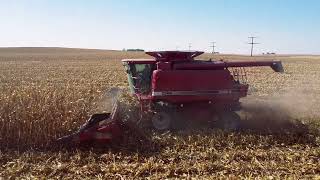 Iowa Corn Harvest 2024 [upl. by Odraode]