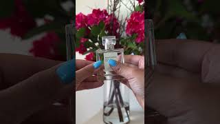 Maison Louis Marie No 14 Fragrance Review fragrancereview perfumereview beautyreviews [upl. by Adnert]