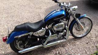 2004 Harley Davidson Sportster 1200 Custom idle and rev [upl. by Andromache583]