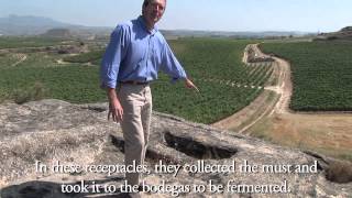 Rioja Wine Where Patrimony Meets Passion [upl. by Assirek]