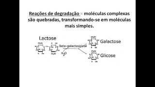 METABOLISMO ENERGÉTICO 2 CITOLOGIA  Angelo Vieira [upl. by Naltiak654]