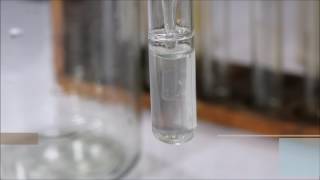 Carbon dioxide CO2 and Limewater CaOH2 [upl. by Nylad]