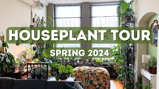 Houseplant Tour  Spring 2024 200 Plants [upl. by Huxley463]