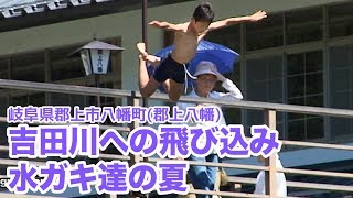 【岐阜県郡上市】郡上八幡 吉田川への飛び込み・水ガキ達の夏 Gujo Hachiman [upl. by Tiloine44]