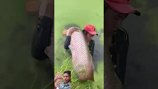 fish fisherman fishing fishermanlife fishermanslife carpfishing fishermans fishingtips [upl. by Dannie]