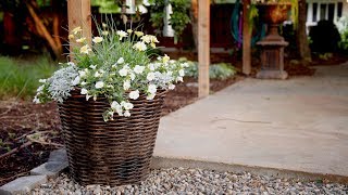 Planting a Container in Shades of White 💚🌿 Garden Answer [upl. by Suiremed]