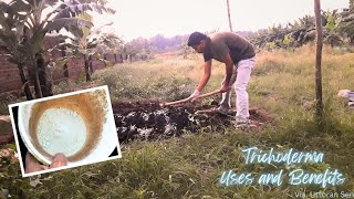 Trichoderma  What is Trichoderma  Uses and Benefits  ट्राइकोडर्मा अनुकूल फफूंद  कवक [upl. by Atalee]