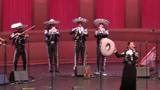 4K Video  111718 Mariachi Grulla de Plata  2018 Mariachi Vargas Extravaganza [upl. by Irrek]