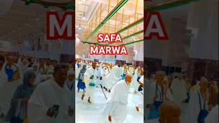 SAFA MARWA 🕋trending shorts shortsfeed shortvideo firojking7 MakkahofficialKN [upl. by Alfi]