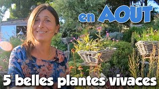 Je vous présente 5 belles plantes vivaces daoût [upl. by Eisenstark]