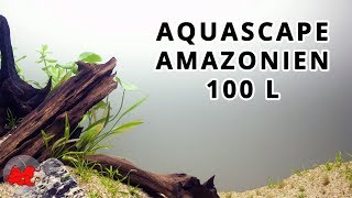 Aquascape aquarium Amazonien 100L [upl. by Tegan]