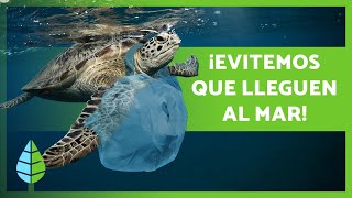 PLÁSTICOS en el MAR 🛍️🌊 ¡Causas Consecuencias y Soluciones [upl. by Eannej]