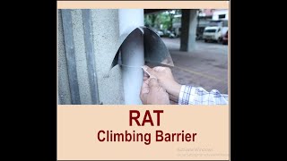 Rat Climbing Barrier To stop Rats entry use Pestosys Rat Climbing Barrier on Pipes [upl. by Cramer635]