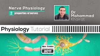 Physiology of nerve 2  Properties of nerves amp strength duration curve [upl. by Margalo]