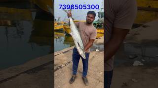 Kingfish benfits  7 కేజీల కోనం చేపను హైదరాబాద్ కి పంపించాను  kingfish beachboynaidu seafood [upl. by Schmitz]