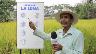 Cómo usar las Fases Lunares 🌖 Para Sembrar Cosechar Injertar y Domar Caballos [upl. by Goldenberg]