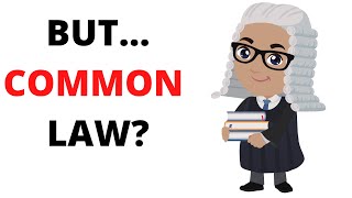 Do you REALLY Understand Common Law [upl. by Devonna]