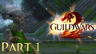 1 Lets Play Guild Wars 2 Asura Engineer Gameplay  It Begins in the Starting Zone [upl. by Betsey]