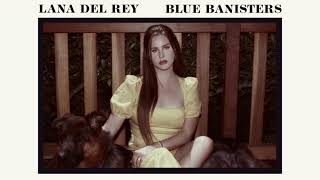 Lana Del Rey  Dealer Official Audio [upl. by Aninaj]