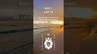 REIS 1 CAP18 MOTIVASSE shorts views frasesdereflexao [upl. by Beaufert]