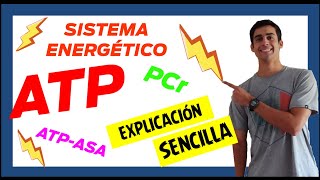 ⚡ SISTEMAS ENERGETICOS ATP PC ⚡ Fácil de entender 1º parte Papel de ENZIMAS en el metabolismo [upl. by Melisande482]