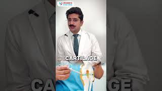 How do stem cells work in the body  doctor stemcellstherapy doctor dradityasai shortsvideo [upl. by Ioab691]