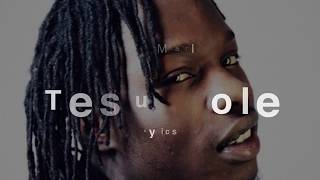 Naira Marley  Lyrics  Tesumole [upl. by Dnomaid]