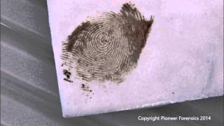 Amido Black 10B Process for Bloody Fingerprints [upl. by Oicirbaf]