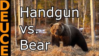 Best Pistols for Bear Attacks Using Real Life Data [upl. by Meeharbi]