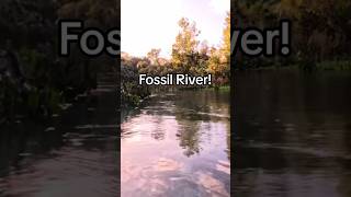 Fossil River [upl. by Halyk]