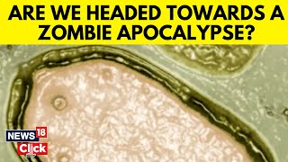 Zombie Virus  Zombie Virus Explained  What Is A Zombie Virus  News18 Exclusive  News18 [upl. by Terence245]