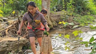 Single mother worried that her child would be hungry and luckily she caught shrimp [upl. by Secor]