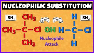 Nucleophilic Substitution Reactions  SN1 Reaction and SN2 Reaction [upl. by Southworth]