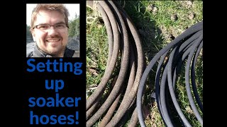 Easier way to water the garden Soaker hoses [upl. by Margalit775]