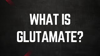 What is Glutamate [upl. by Felecia]