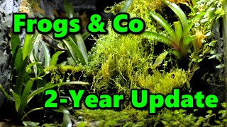 Two Years Later  My Thoughts on the ExoTerra Frogs amp Co Vivarium [upl. by Searby116]