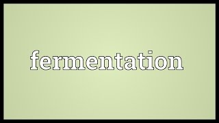 Fermentation Meaning [upl. by Rotberg685]