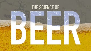 How is Beer Made [upl. by Einnek]