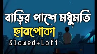 বাড়ির পাশে মধুমতি  Barir Pase Modhumoti  SlowedLofi  Jisan Khan Shuvo  Charpoka Band  song [upl. by Essy]