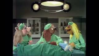 The Muppet Show  114 Sandy Duncan  Veterinarian’s Hospital Old Man 1976 [upl. by Eisor110]