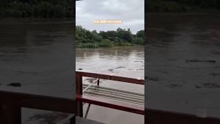 GUANACASTE UNDER WATER Tempisque River Floods Its Banks costarica floods [upl. by Fredericka]